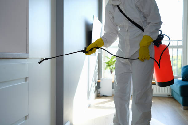 Best Residential Mold Removal  in Lubbock, TX